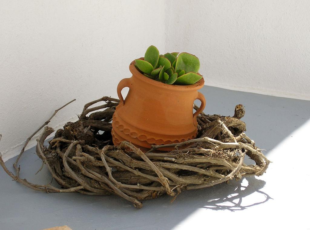 Gasthuis Irida - Santorini